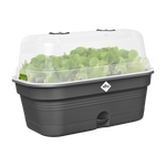 green basics anzucht schale allin1 l living schwarz